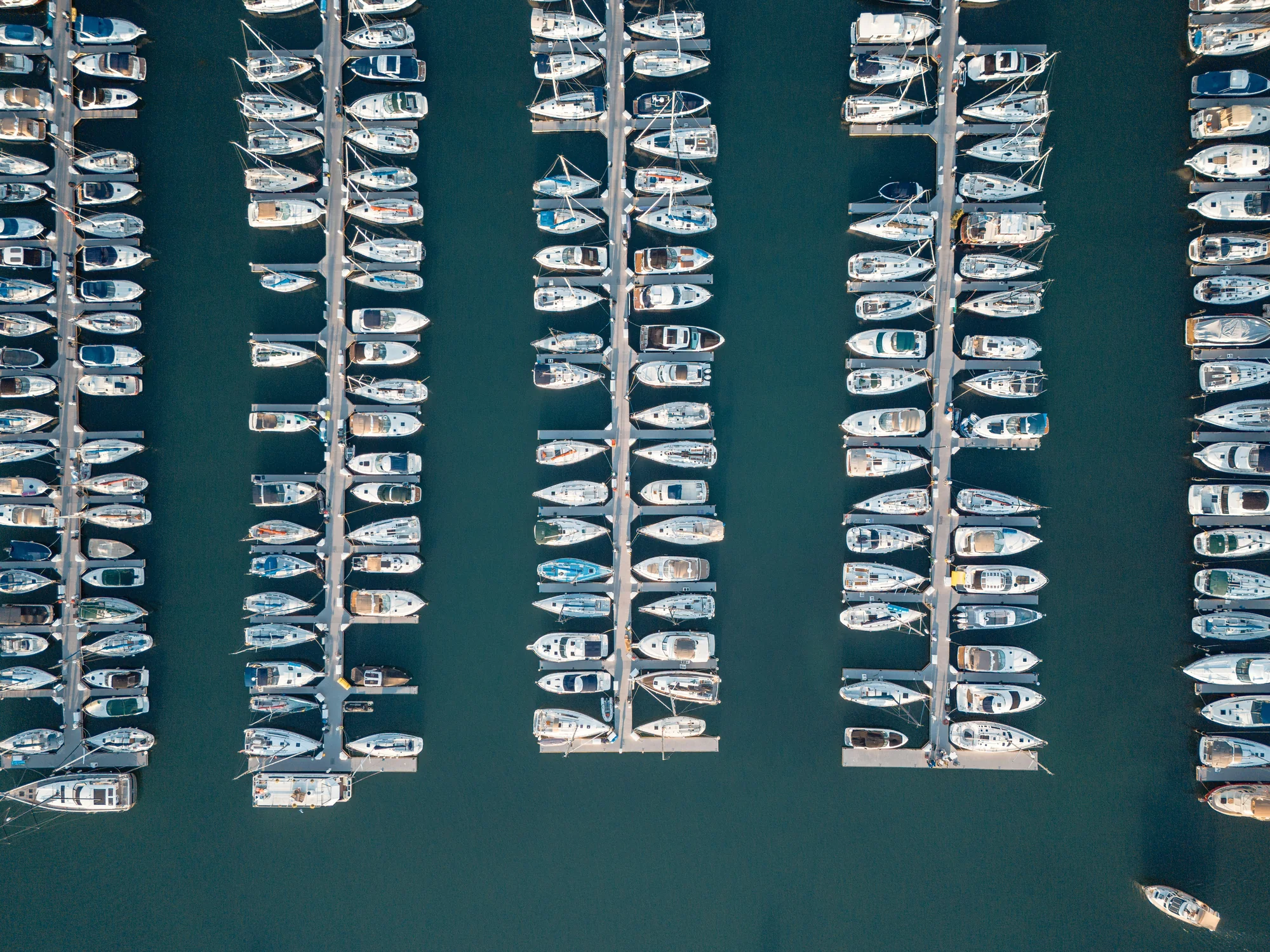 Aerial view of a marina